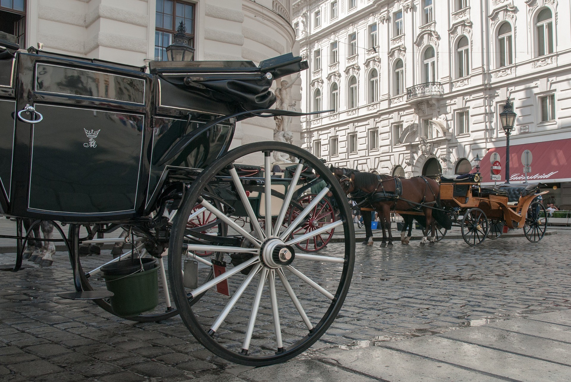 Cosa vedere a Vienna: il centro storico - Foto di Jojo Hasilla
