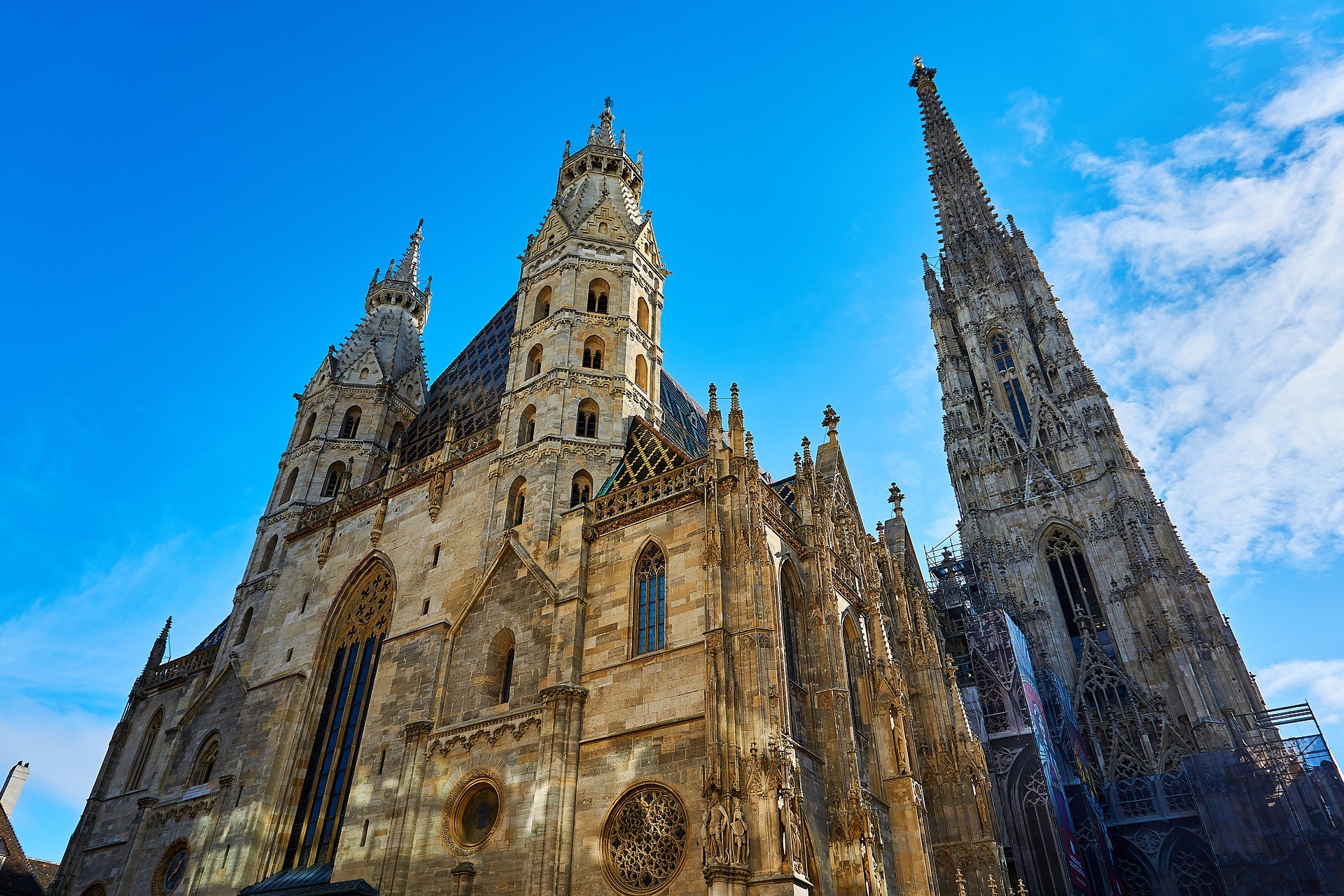 Vienna, luoghi da non perdere: Cattedrale di Santo Stefano