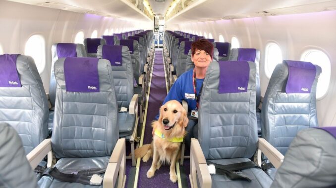 Cane in aereo