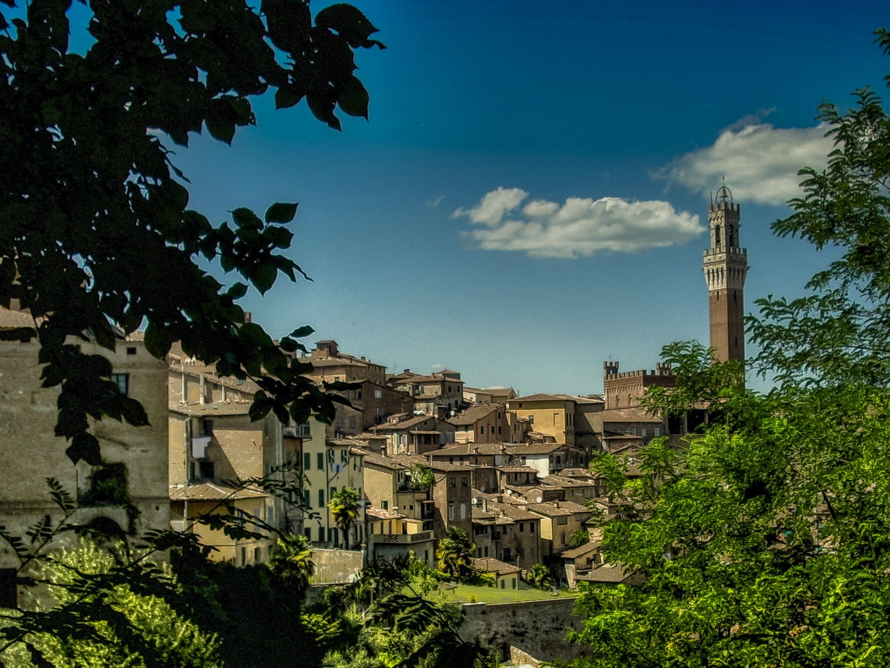 Siena, veduta della città