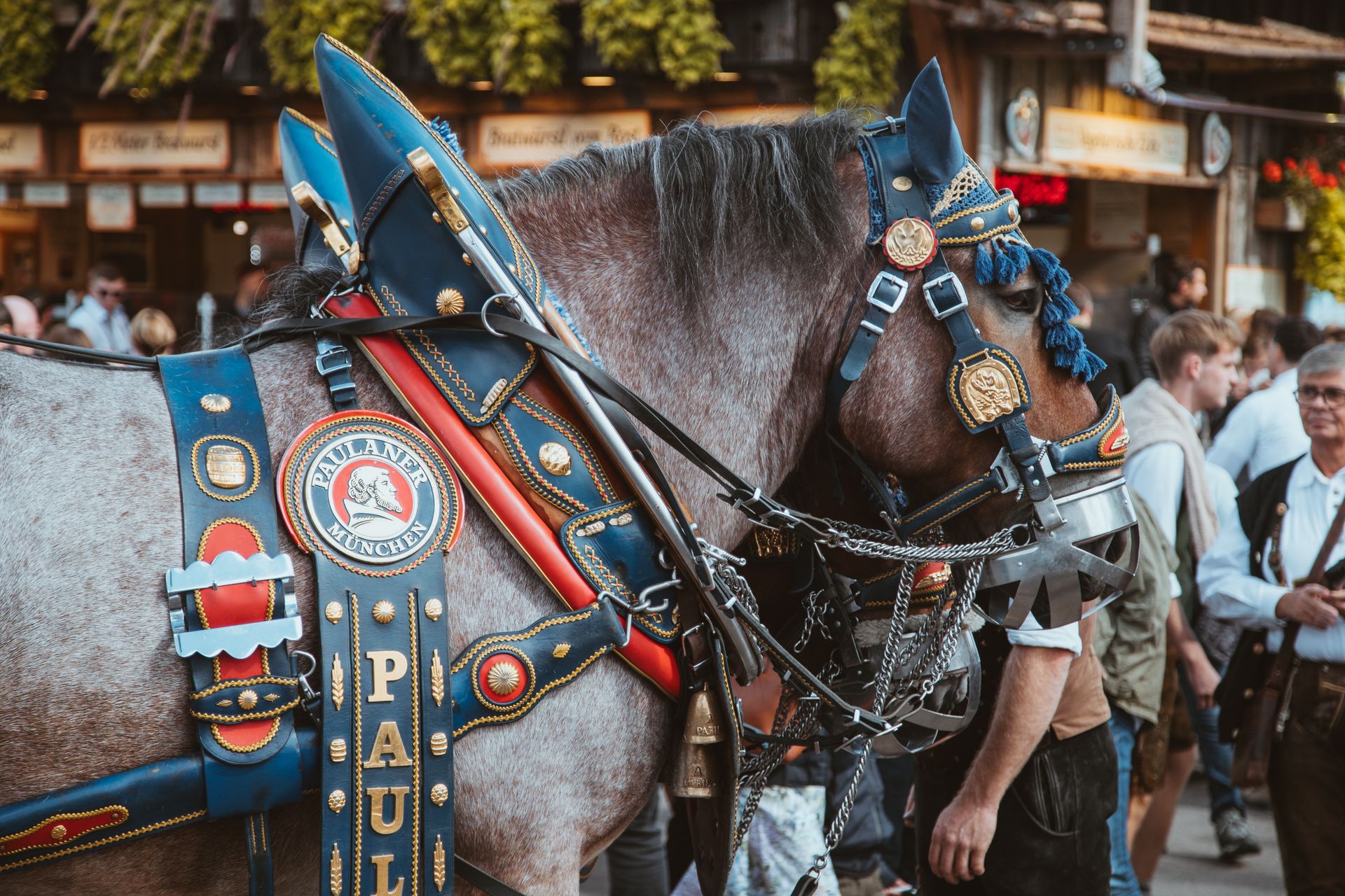 Cavallo addobbato per il corteo tradizionale dell’Oktoberfest di Monaco