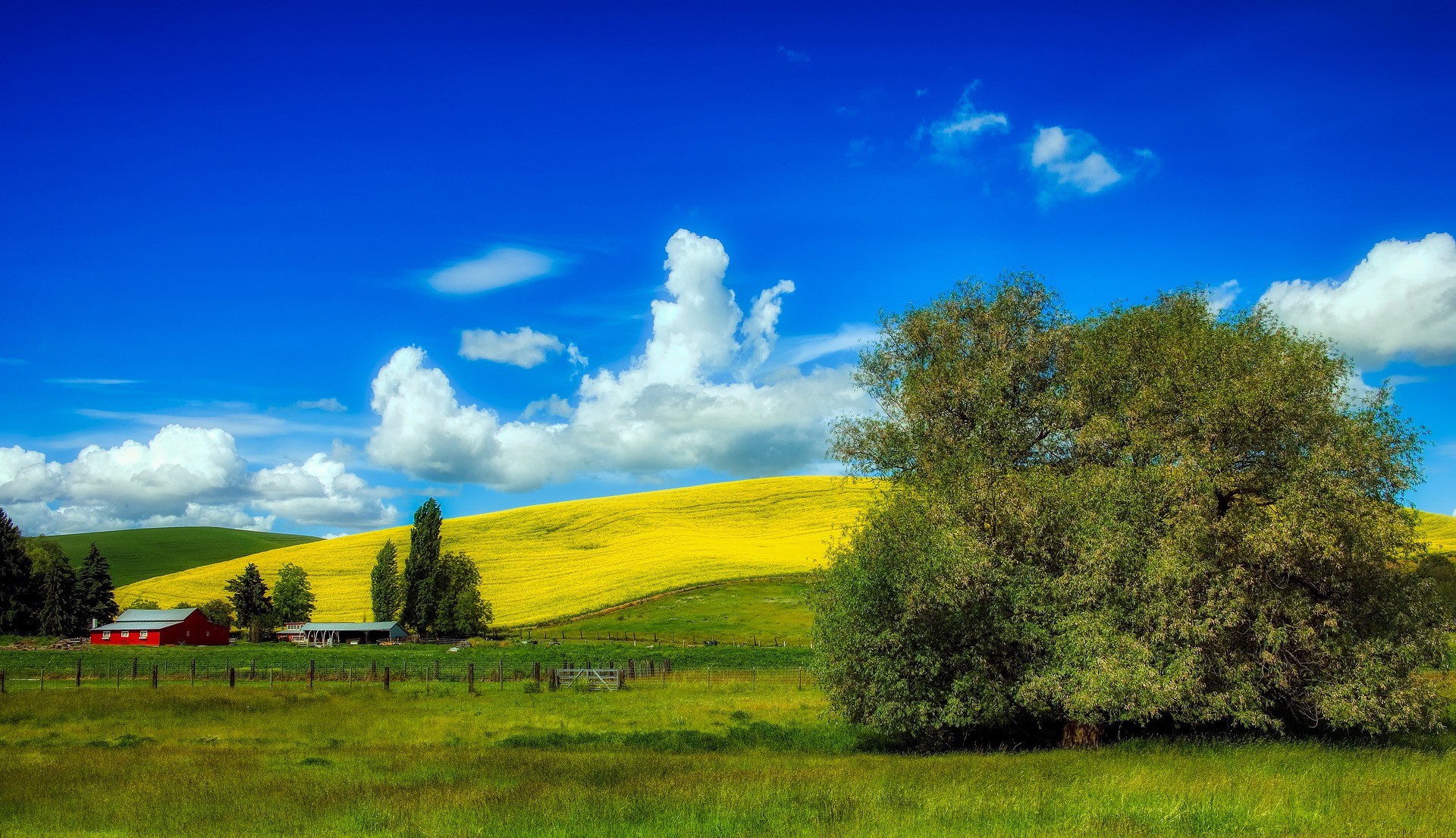 Paesaggio dell'Idaho - Foto di David