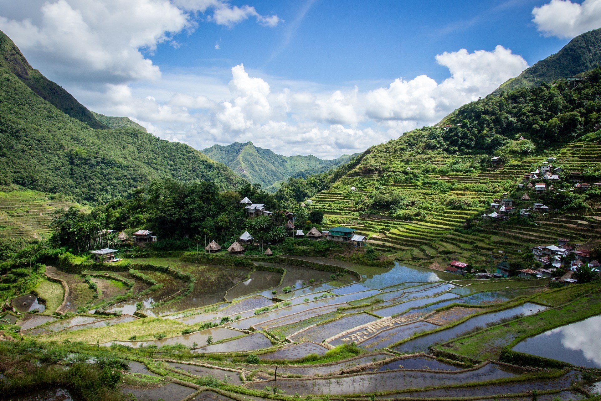 Terrazze di riso a Batad, Filippine - Foto di lester56