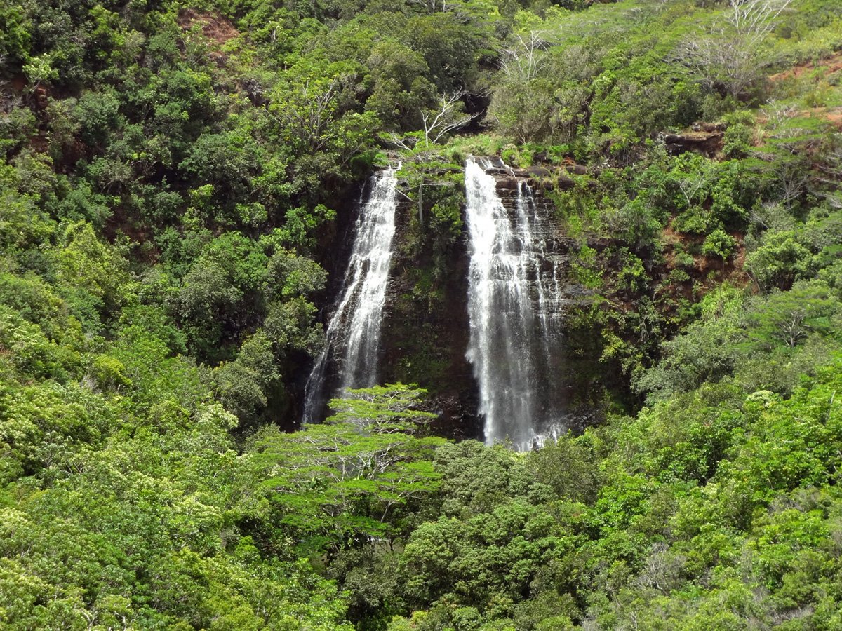 Cascate Opaekaa, Wailua - Foto Hawaii Travel Guide