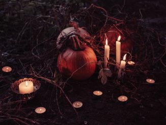 Праздники Хэллоуина