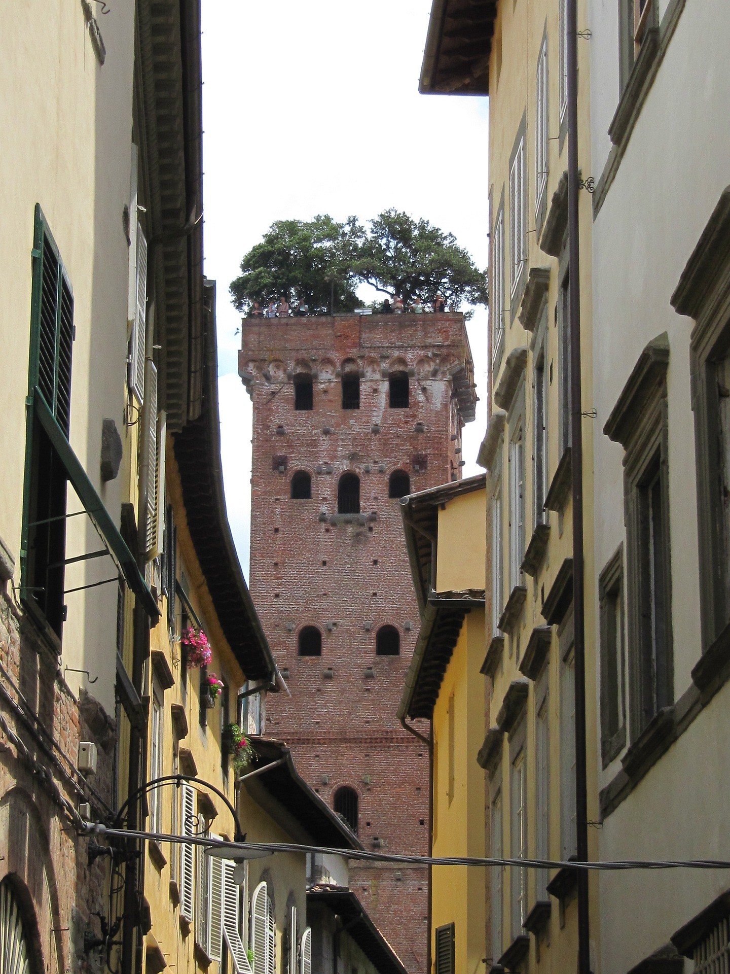Guinigi-toren, Lucca