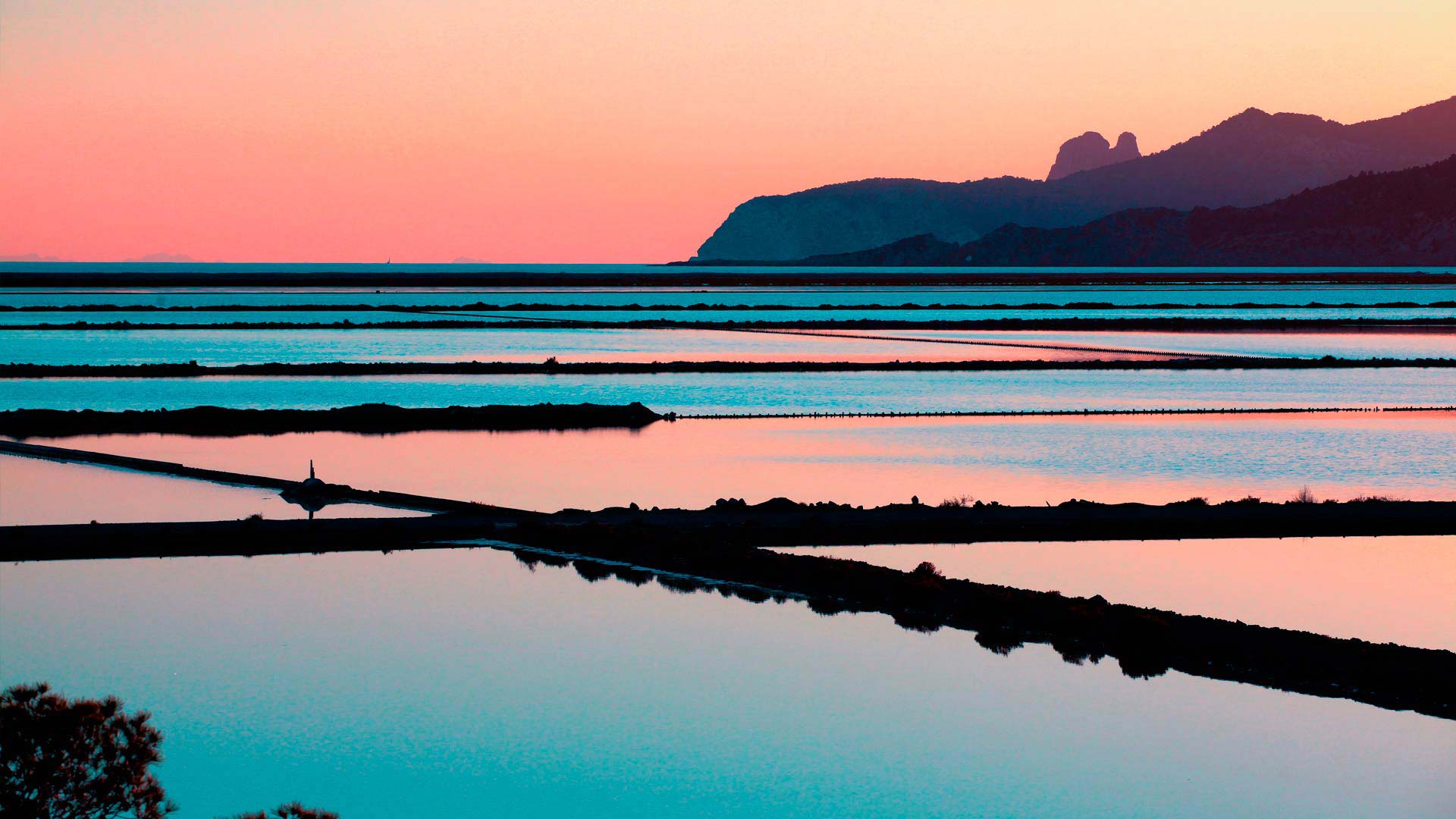 Parco Naturale delle Saline - Foto BalearicTour