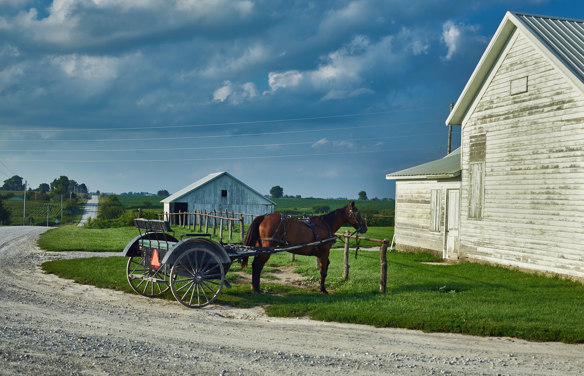 Fattoria Amish con cavallo e buggy
