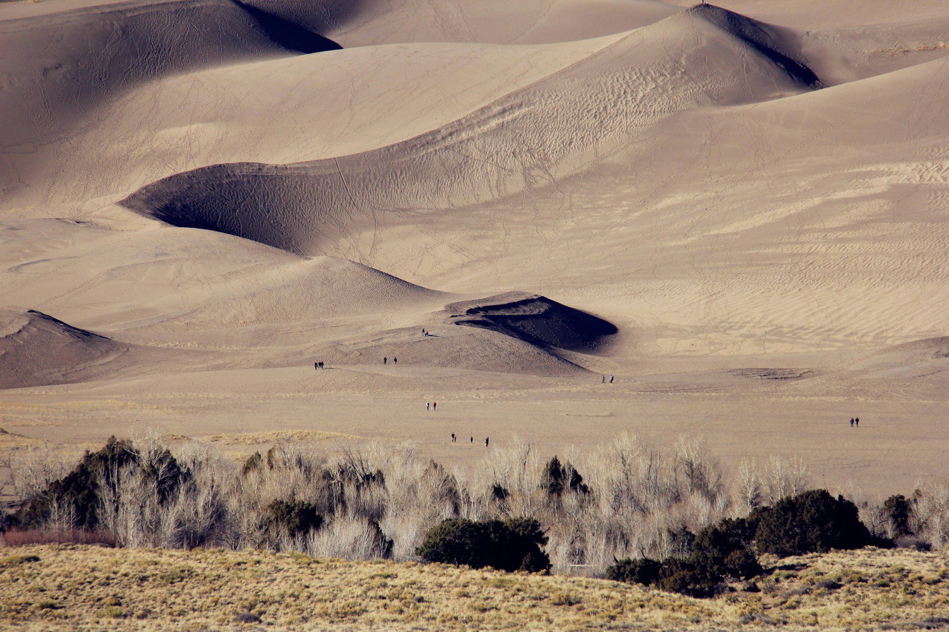 Great Sand Dunes National Park, Colorado - Foto di Justin Wang U
