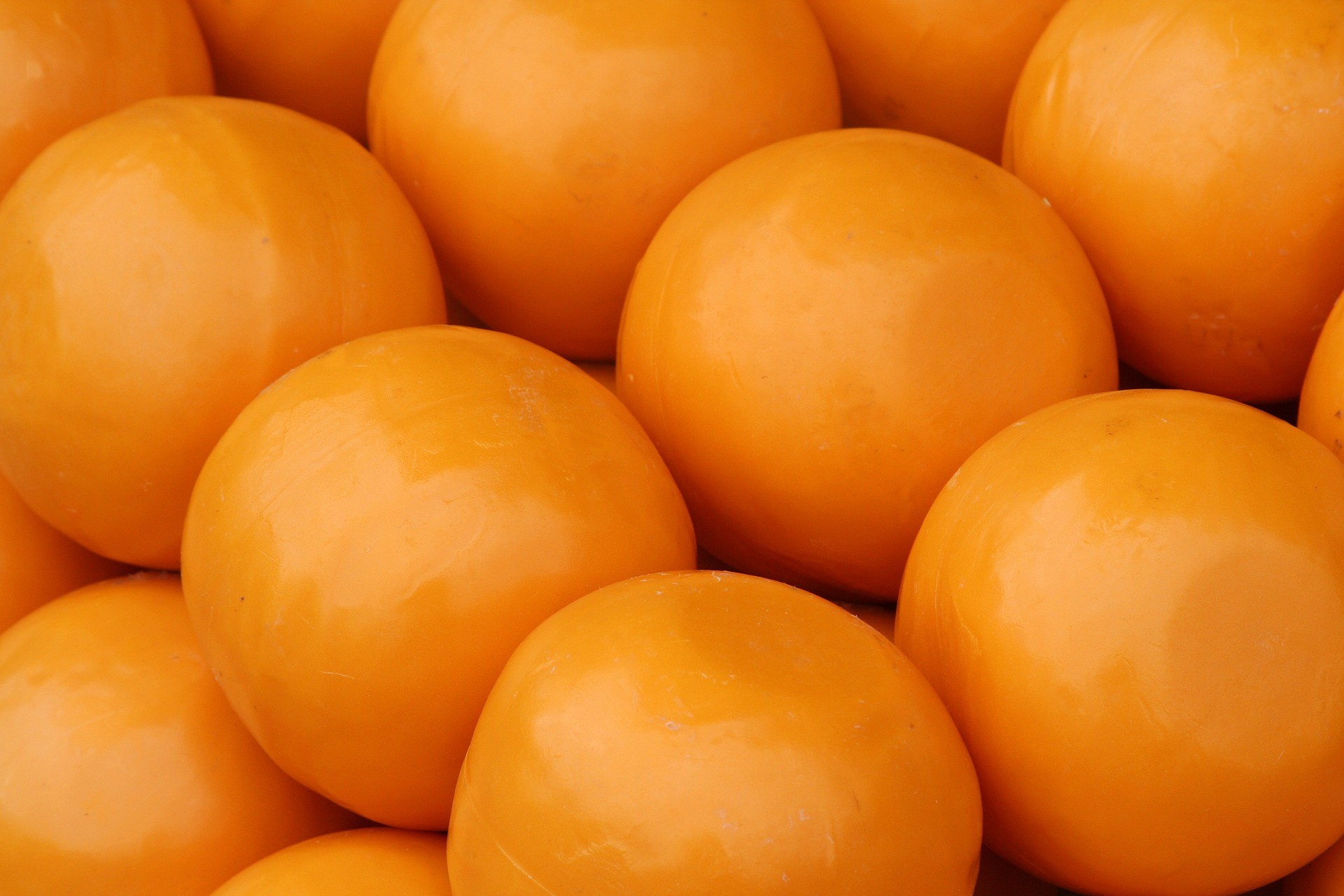 Formes de fromage Edam - Photo de William Lockhart Pix