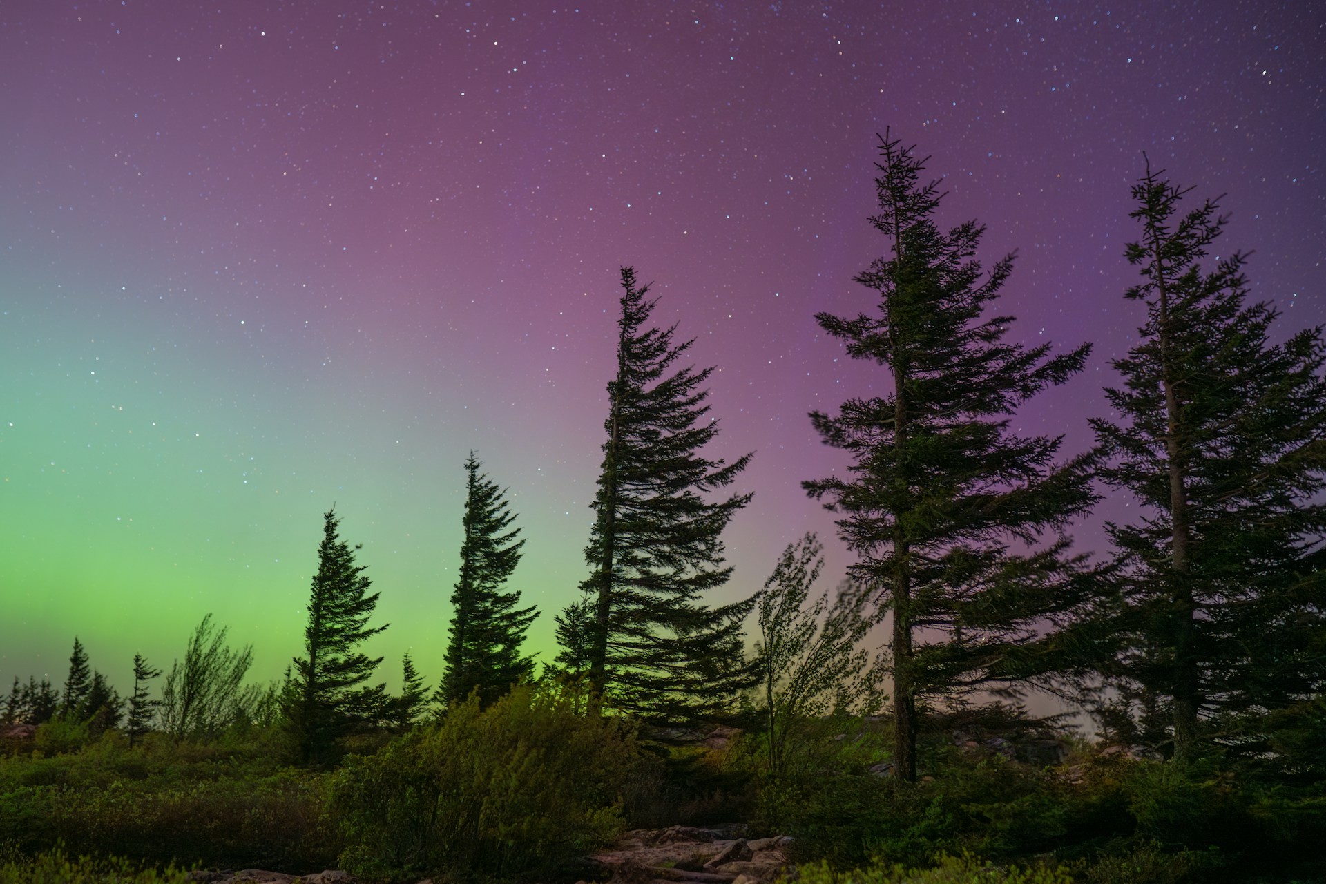 Aurore boréale, les couleurs - Photo U+