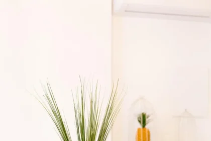 Dimore Trulli Holiday a Alberobello | Alloggi X FullTravel