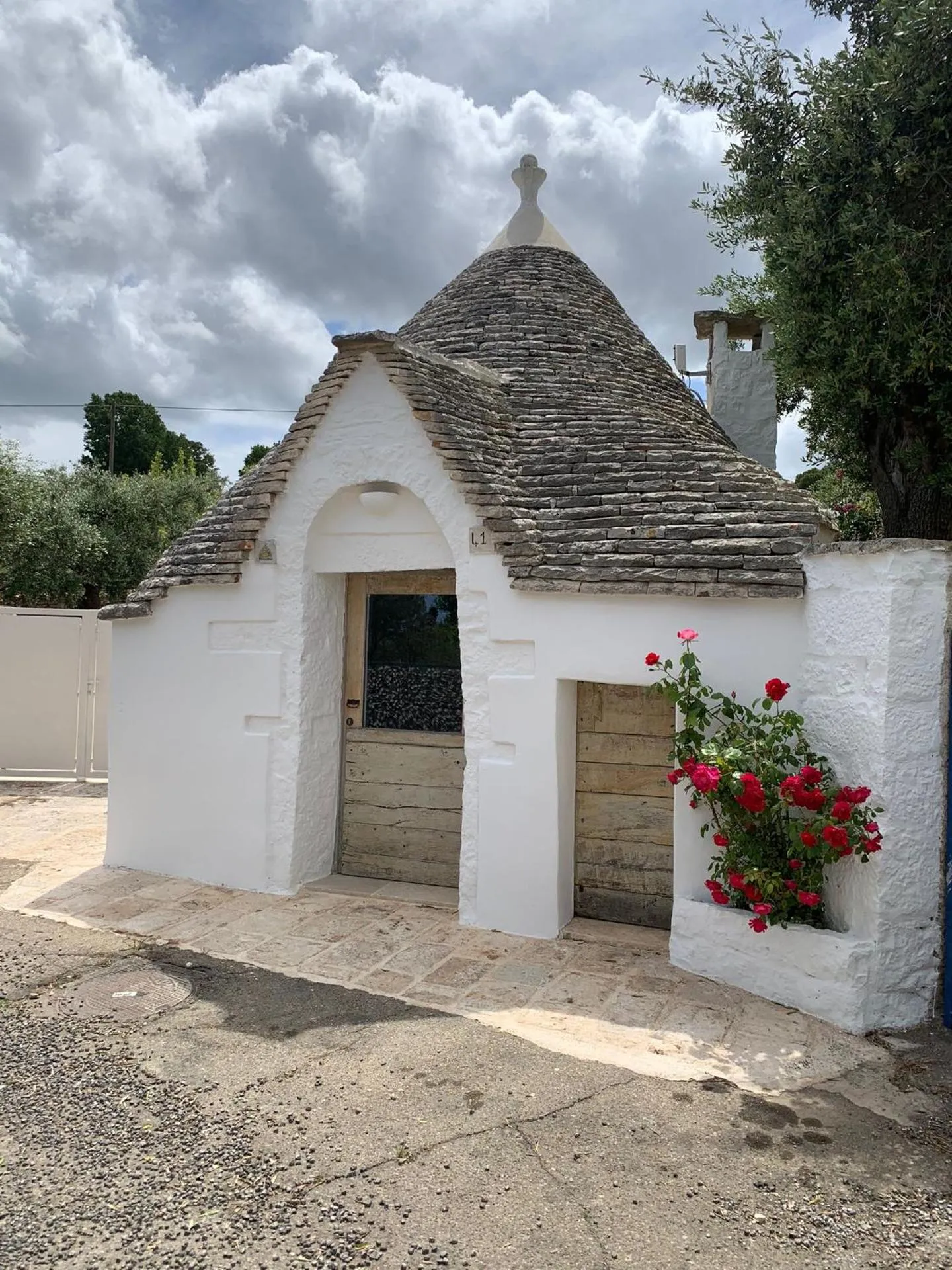 Trullidea a Trulli Zone