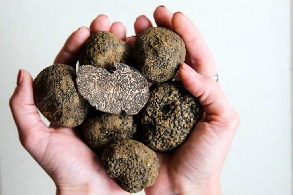 Consumo del Tartufo