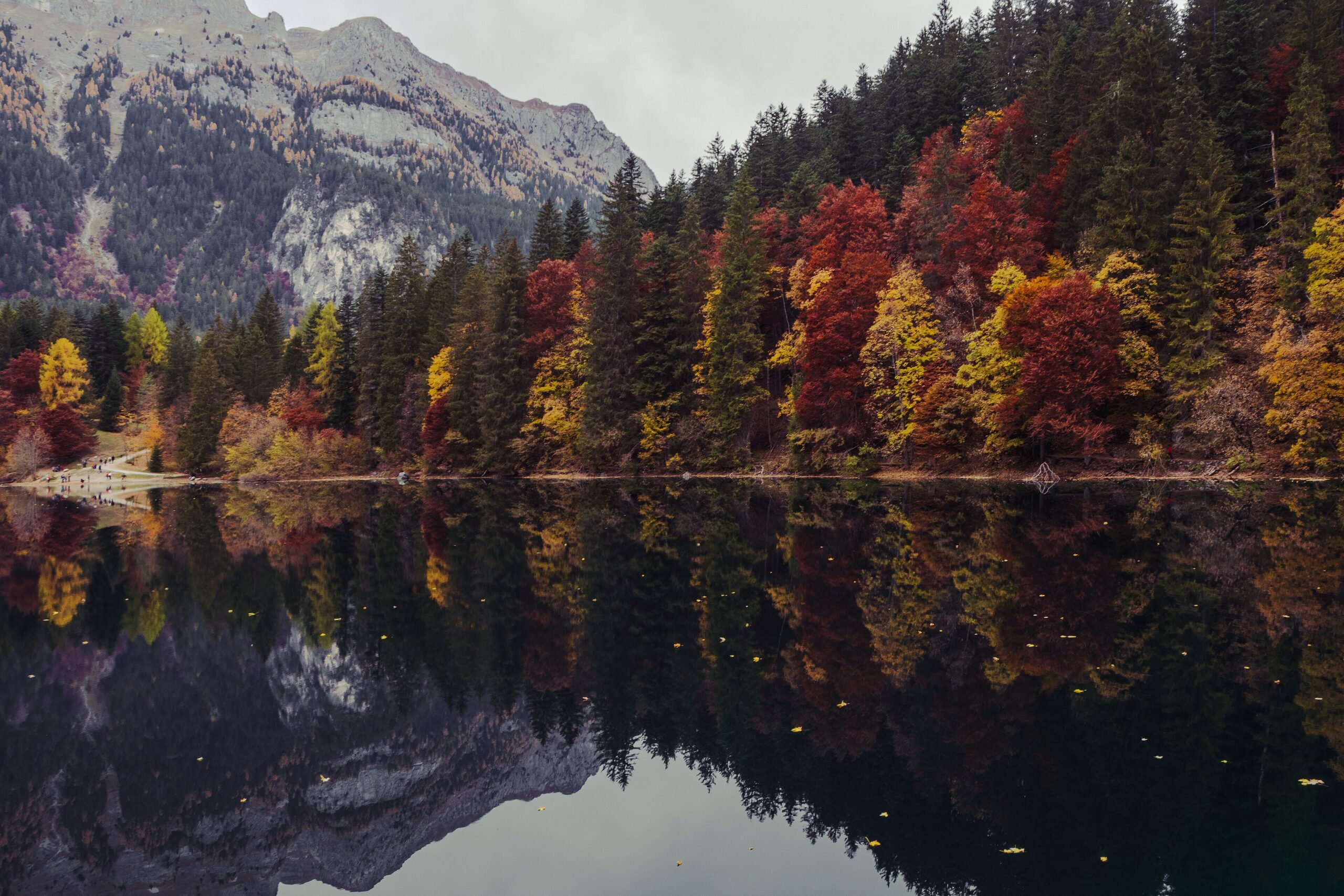 Lago di Tovel in autunno con alberi rossi, gialli e arancioni riflessi nell'acqua