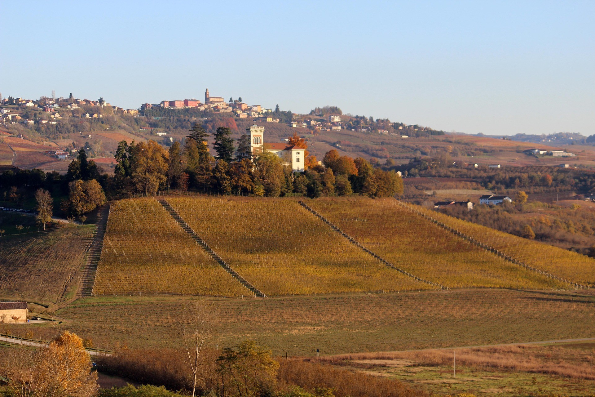 Paesaggio autunnale delle Langhe con vigneti dorati, alberi colorati e borghi sulle colline piemontesi