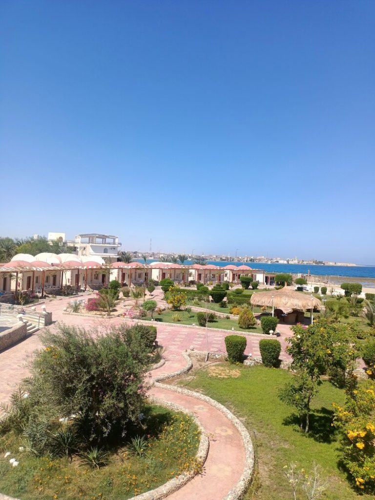 Volo + Hotel Bologna - El Quseir, Mar Rosso - Dolphin Continental Hotel El Quseir da 638.62€