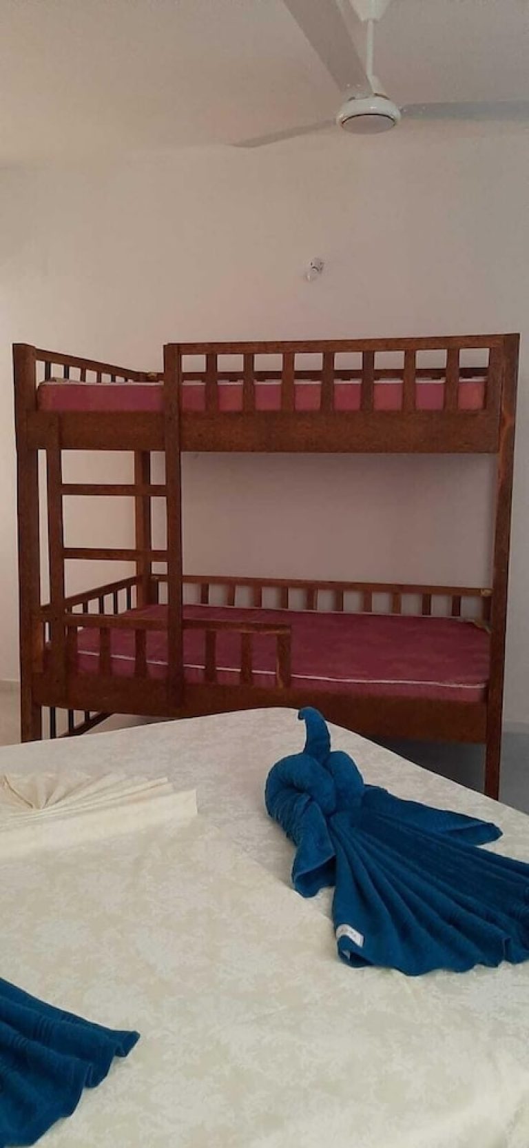 Volo + Hotel Bologna - Jambiani, Zanzibar - Amani Hotel Paje da 857.25€