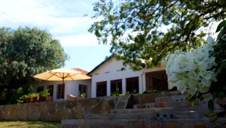 Volo + Hotel Milano - Kilifi - Salty's Kitesurf Village da 634.86€