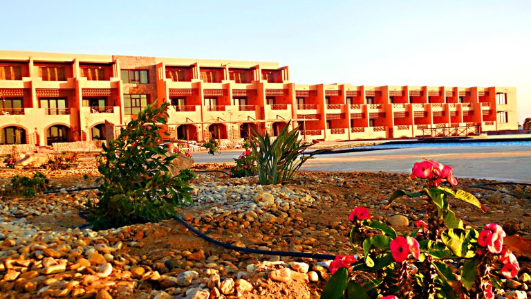 Volo + Hotel Bari - Soma Bay - Viva Blue Resort and Diving Sharm El Naga (Adults Only) da 794.62€
