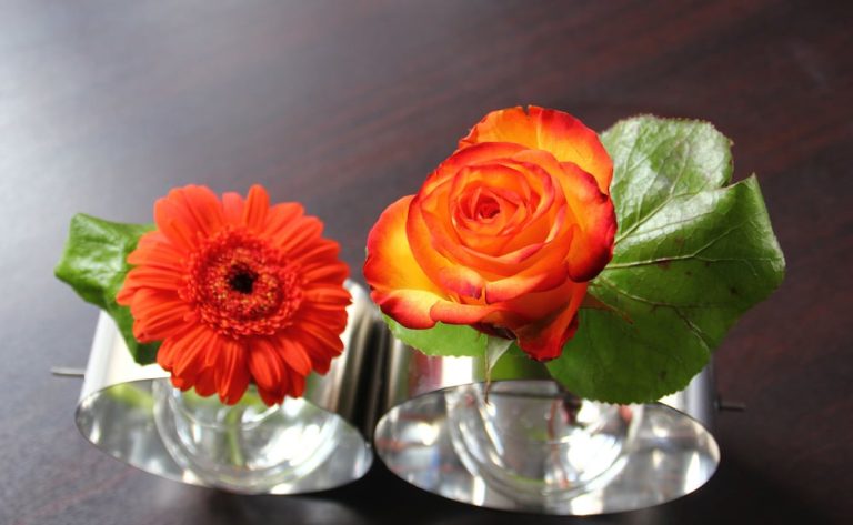 Volo + Hotel Milano - Lourdes - Hôtel Majestic da 125.98€